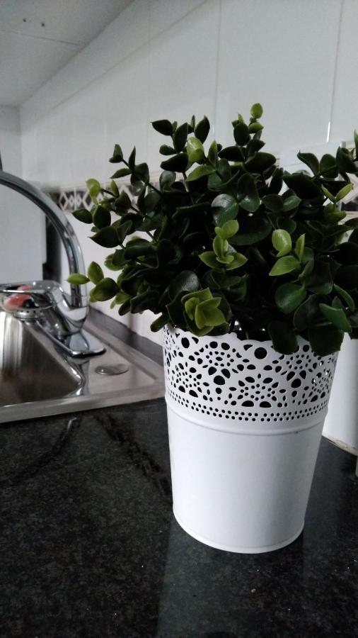 شقة Tomarhousing - Garden المظهر الخارجي الصورة