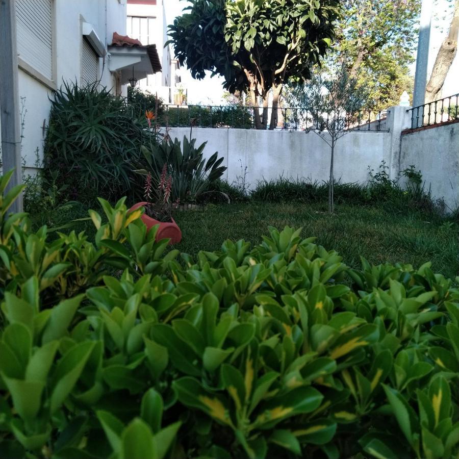 شقة Tomarhousing - Garden المظهر الخارجي الصورة
